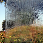 Storm Glass